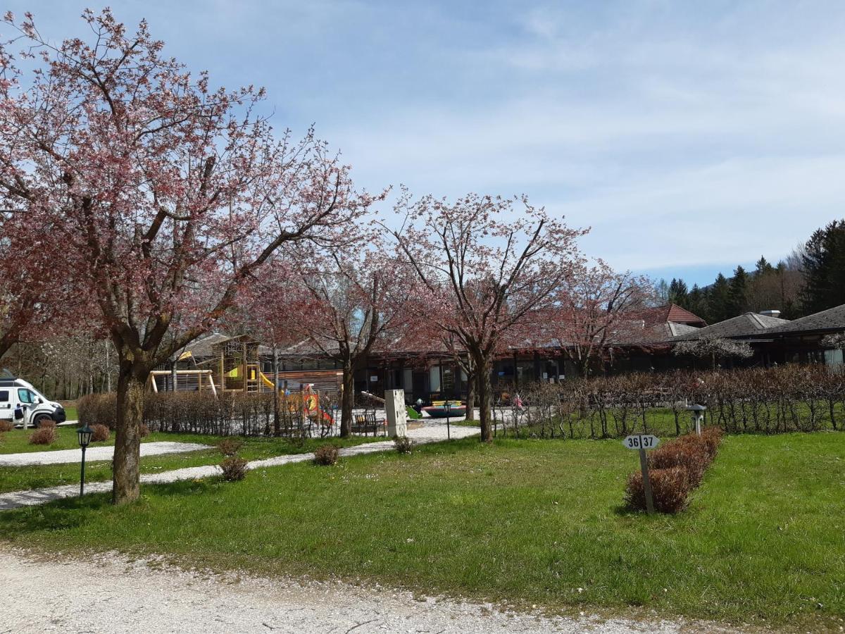 Campingfass Almtal Scharnstein Exterior photo